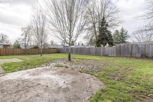 view of yard featuring a fenced backyard