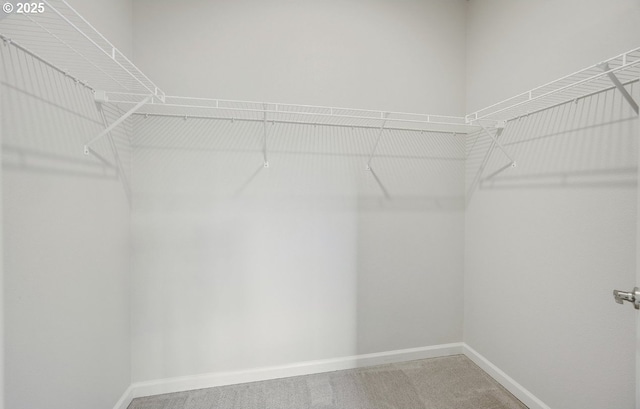 11469 SW Mont Blanc St, Wilsonville, OR 97070 - walk in closet featuring light colored carpet