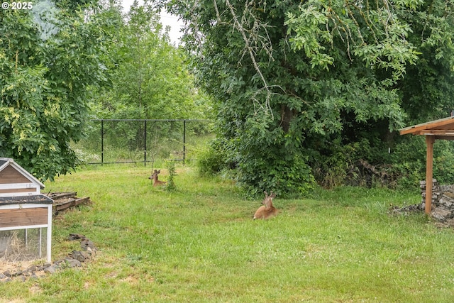 1193 Cedar Pl, Creswell, OR 97426 - view of yard