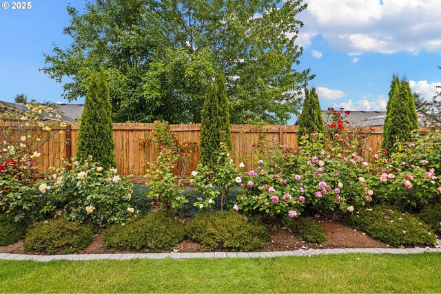 1190 Hazelnut Ct, Creswell, OR 97426 - view of yard