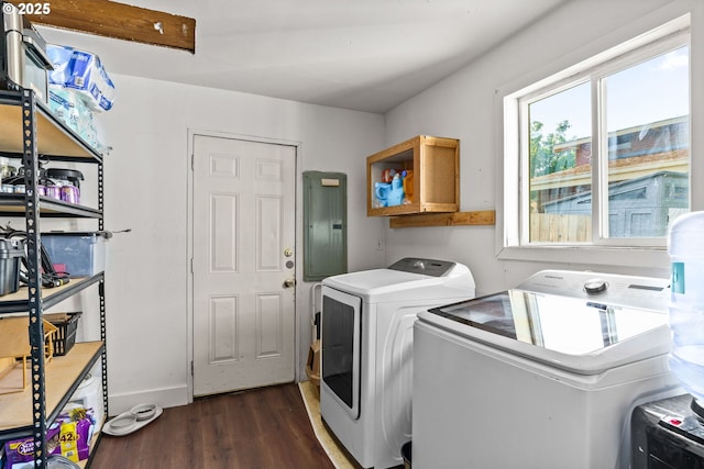 1483 5th St, Springfield, OR 97477 - laundry room featuring wood finished floors, washing machine and dryer, and electric panel