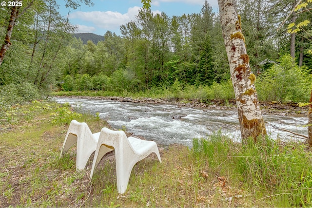 22190 E Lolo Pass Rd, Rhododendron, OR 97049 - water view with a heavily wooded area