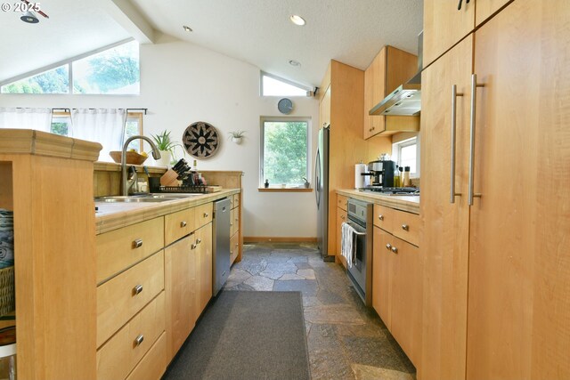 8302 SW 65th Ave, Portland, OR 97219 - kitchen featuring stone tile flooring, stainless steel appliances, a sink, vaulted ceiling, and light countertops