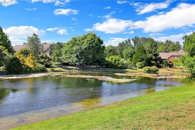 2062 Lake Isle Dr, Eugene, OR 97401 - water view
