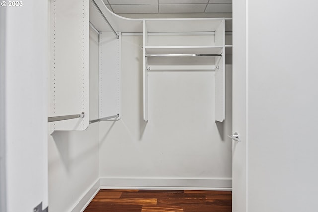 walk in closet with wood finished floors