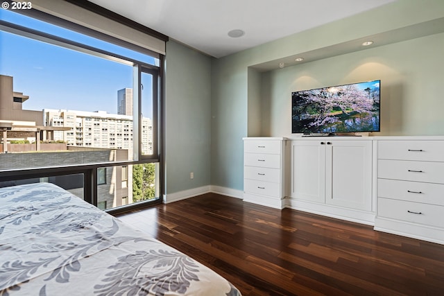 bedroom featuring recessed lighting, baseboards, dark wood-style floors, and multiple windows
