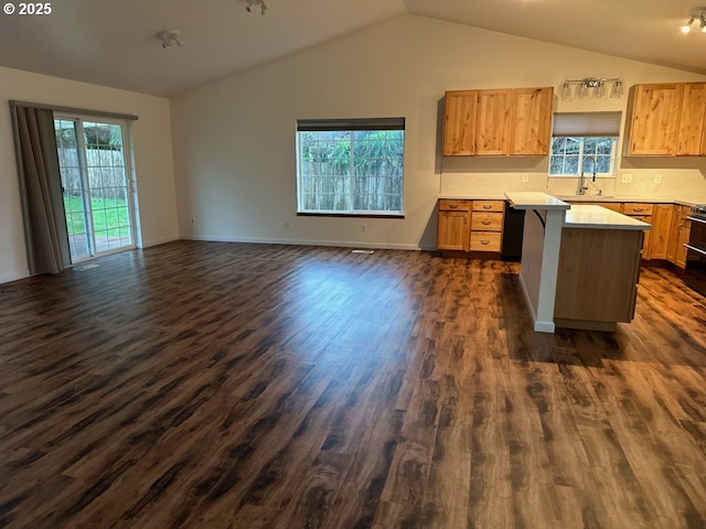 kitchen with sink, dark hardwood / wood-style flooring, lofted ceiling, a kitchen island, and range