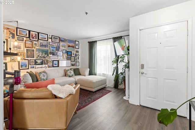living area featuring wood finished floors