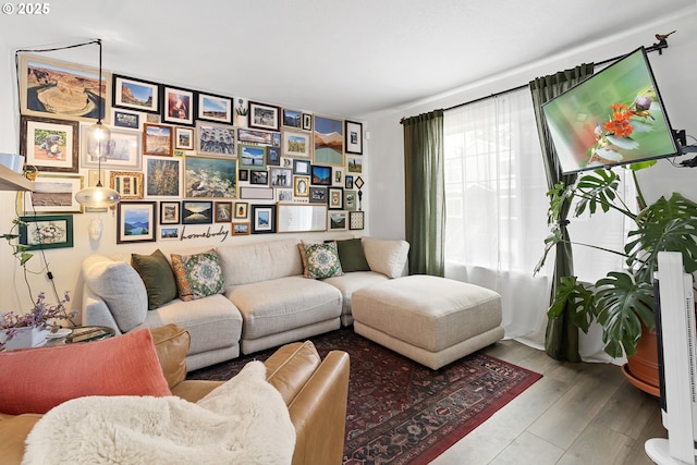living room featuring wood finished floors