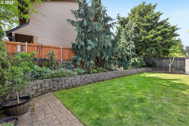 view of yard with a fenced backyard
