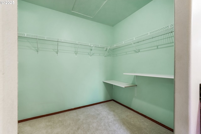 spacious closet featuring carpet flooring and attic access