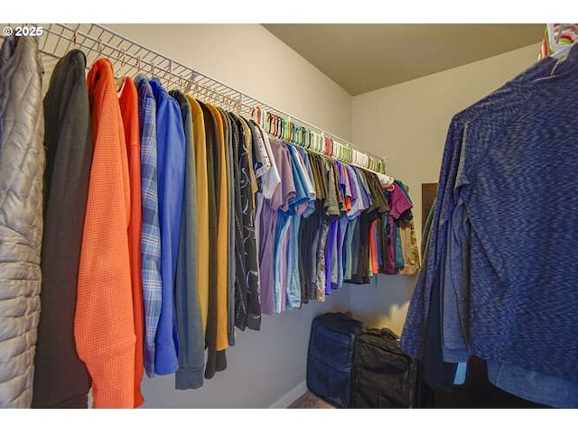 spacious closet featuring carpet floors