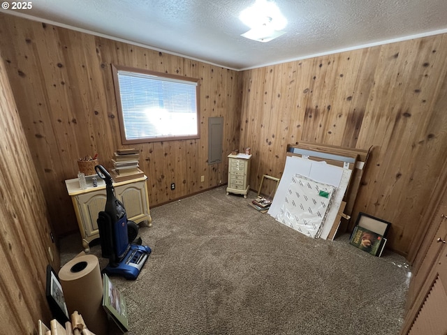 interior space with electric panel, wood walls, a textured ceiling, and carpet floors