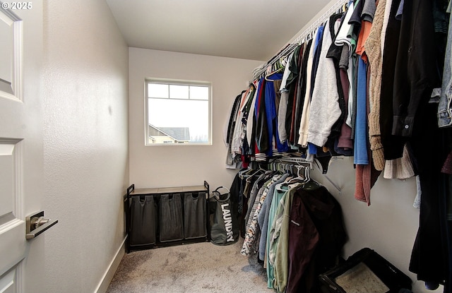 walk in closet featuring light carpet