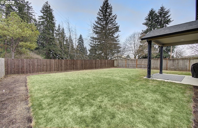 view of yard featuring a patio area