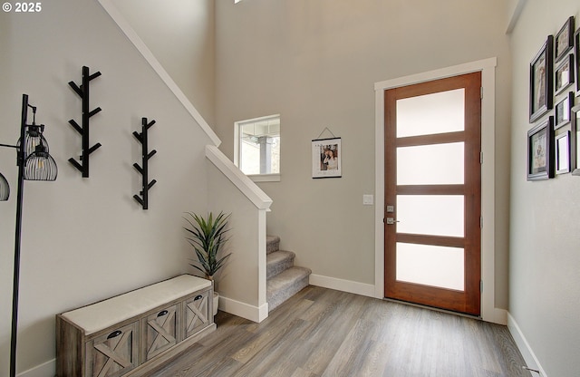 entryway featuring wood-type flooring