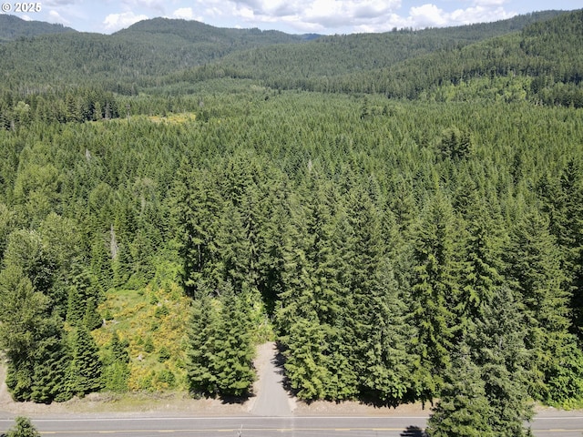 10842 Wind River Rd, Carson, WA 98610
