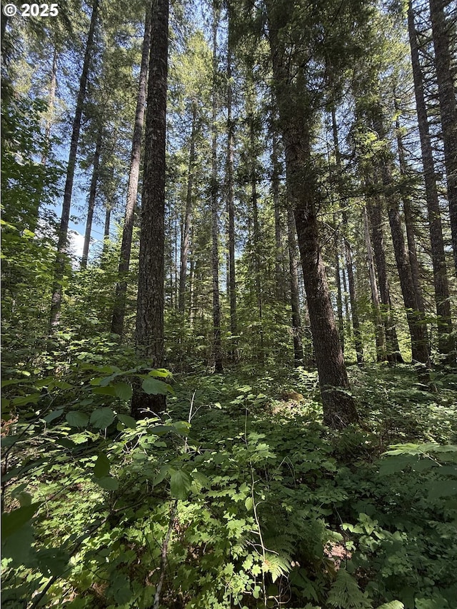 10842 Wind River Rd, Carson, WA 98610