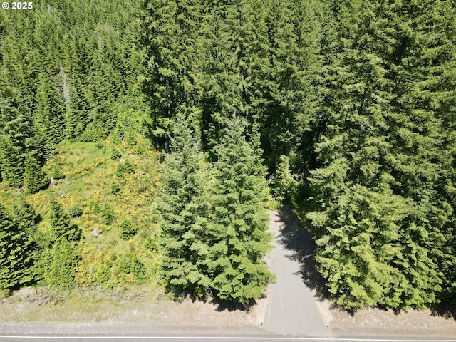 10842 Wind River Rd, Carson, WA 98610