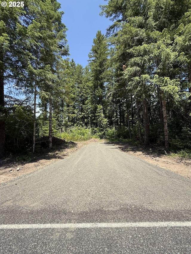 10842 Wind River Rd, Carson, WA 98610