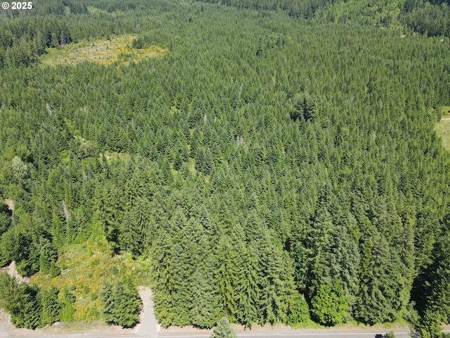 10842 Wind River Rd, Carson, WA 98610
