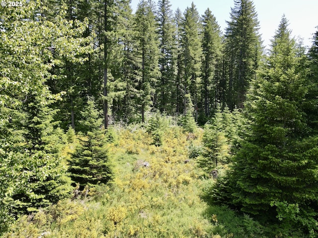 10842 Wind River Rd, Carson, WA 98610