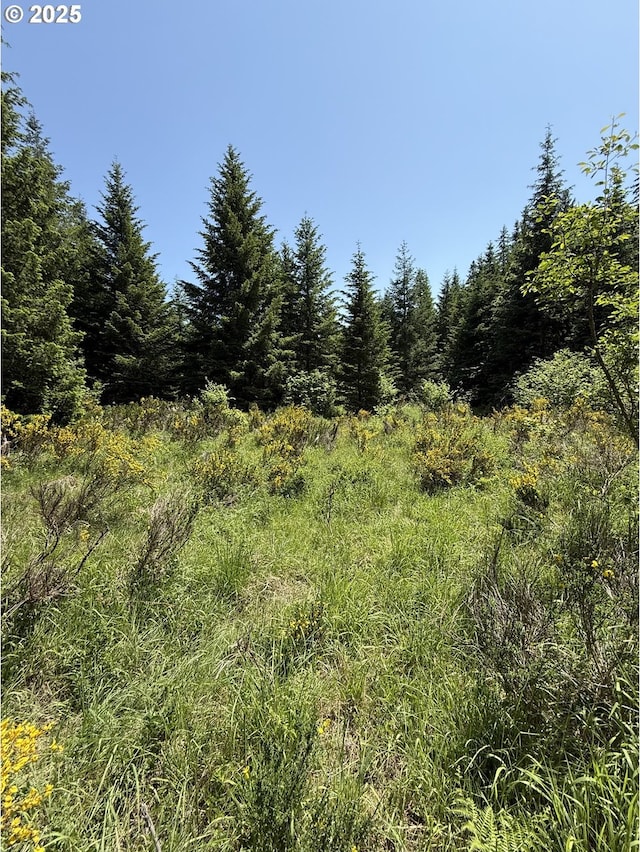 10842 Wind River Rd, Carson, WA 98610