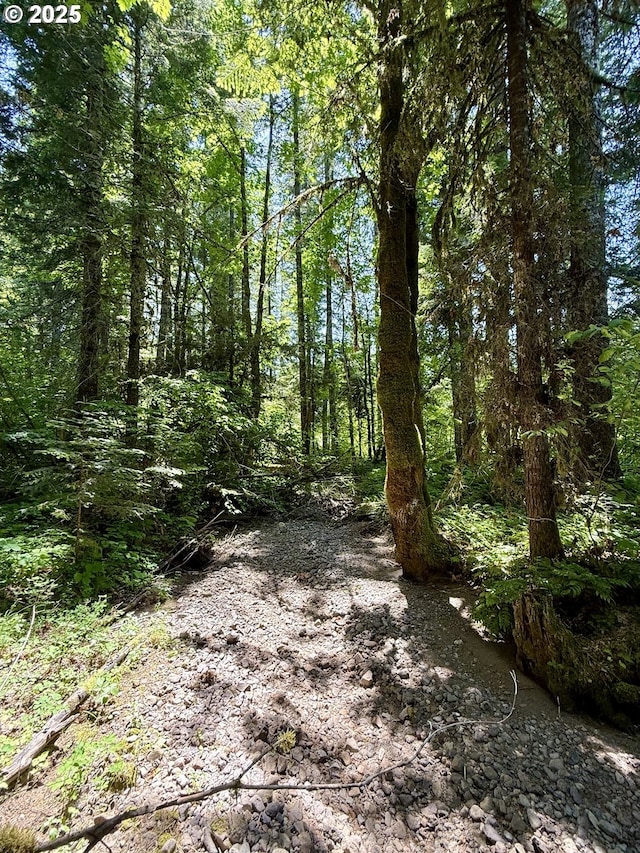10842 Wind River Rd, Carson, WA 98610