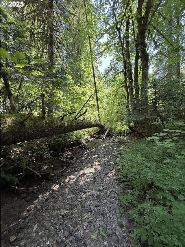 10842 Wind River Rd, Carson, WA 98610