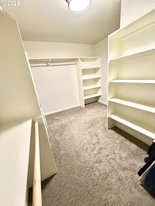 spacious closet with carpet floors