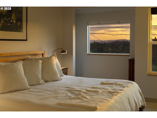 view of carpeted bedroom