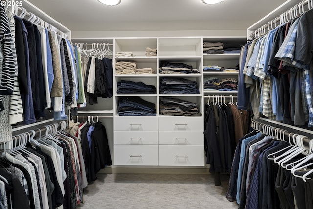 8630 SW 61st Ave, Portland, OR 97219 - walk in closet featuring carpet floors