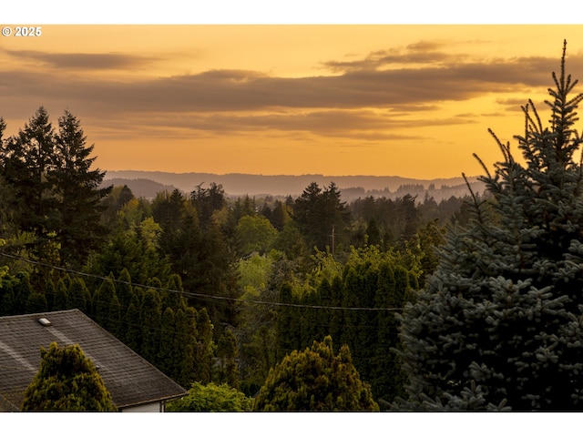 view of mountain feature featuring a forest view