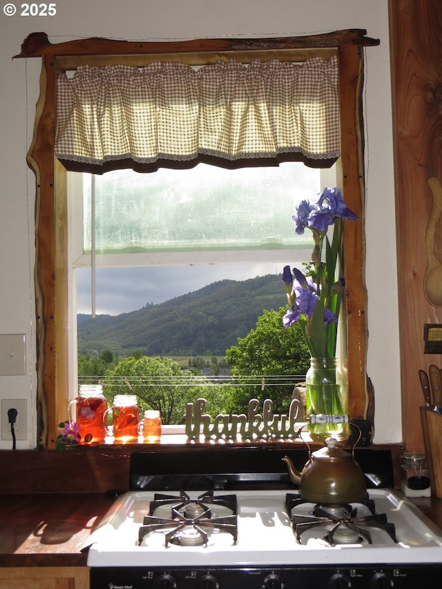 room details with white range with gas stovetop and a mountain view