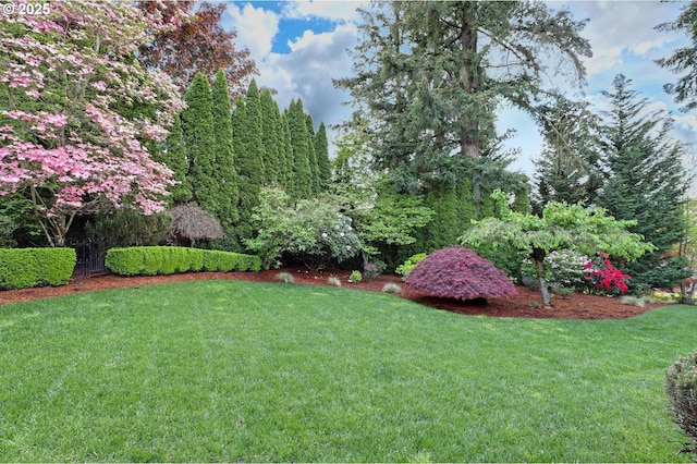 view of green lawn