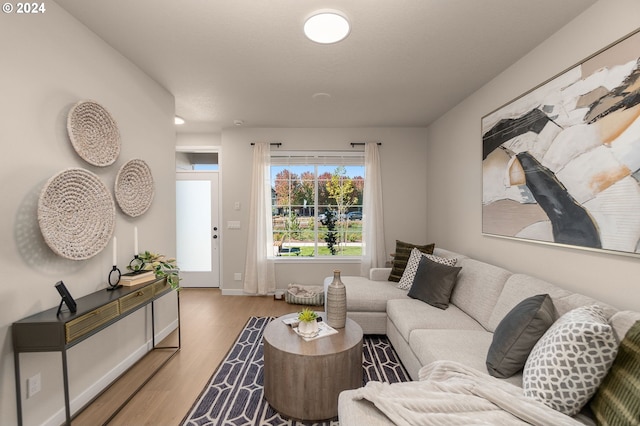 living room with light hardwood / wood-style flooring