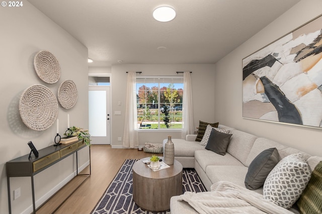 living area featuring wood finished floors and baseboards