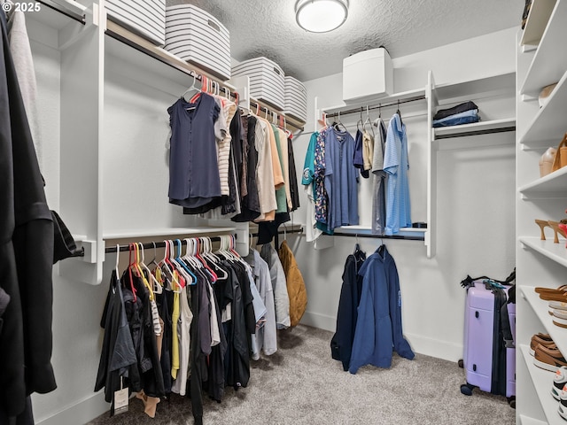 3595 Balm St S, Salem, OR 97302 - walk in closet with carpet flooring