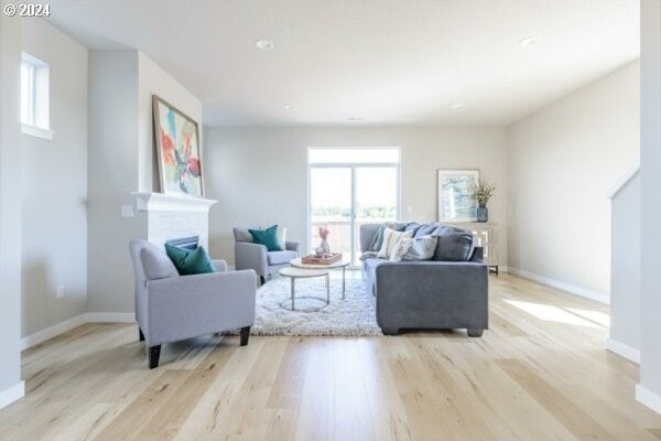 living room with light hardwood / wood-style flooring