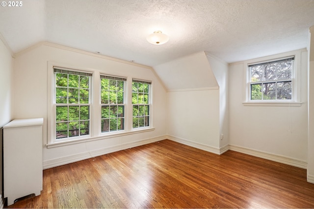 additional living space featuring lofted ceiling, plenty of natural light, baseboards, wood finished floors, and a textured ceiling