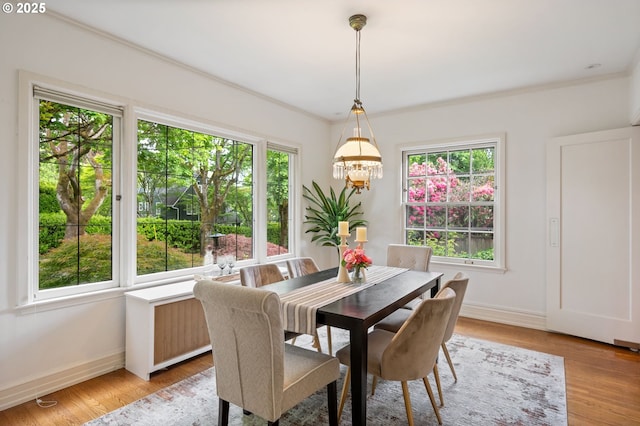dining room with baseboards, a chandelier, crown molding, and light wood-type flooring