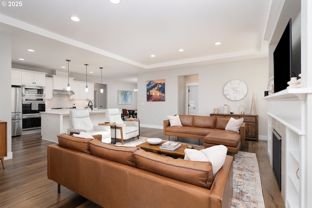 living room with dark hardwood / wood-style flooring and a raised ceiling