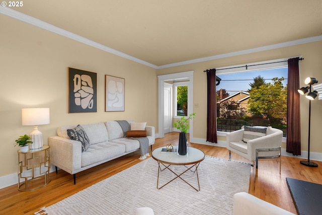 living room with crown molding, baseboards, and wood finished floors