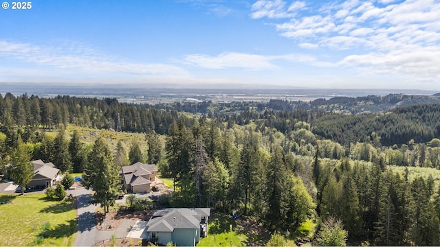 bird's eye view with a forest view