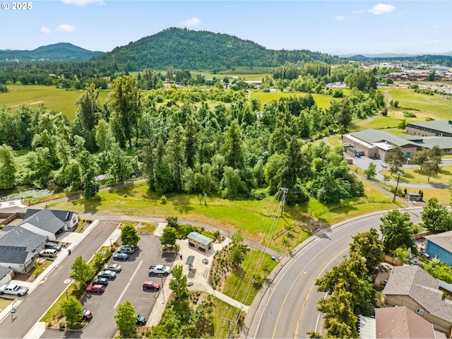 3318 Pinyon St, Springfield, OR 97478 - bird's eye view of mountains