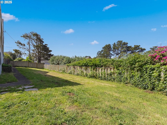 1749 NE 19th St, Lincoln City, OR 97367 - view of yard