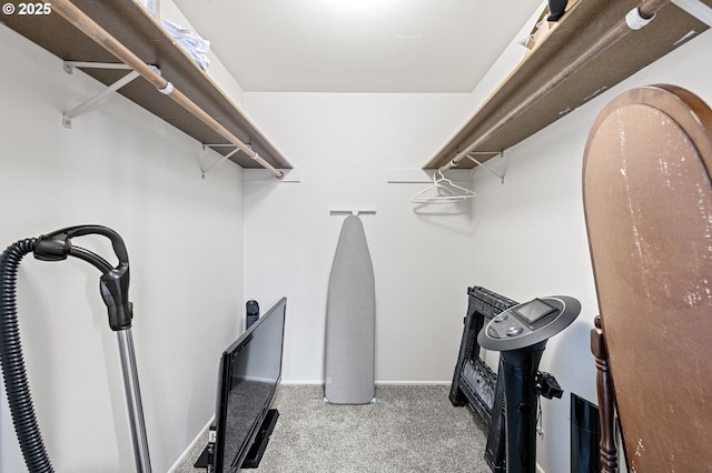 walk in closet featuring carpet flooring