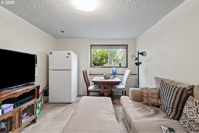 living room with light colored carpet and a textured ceiling