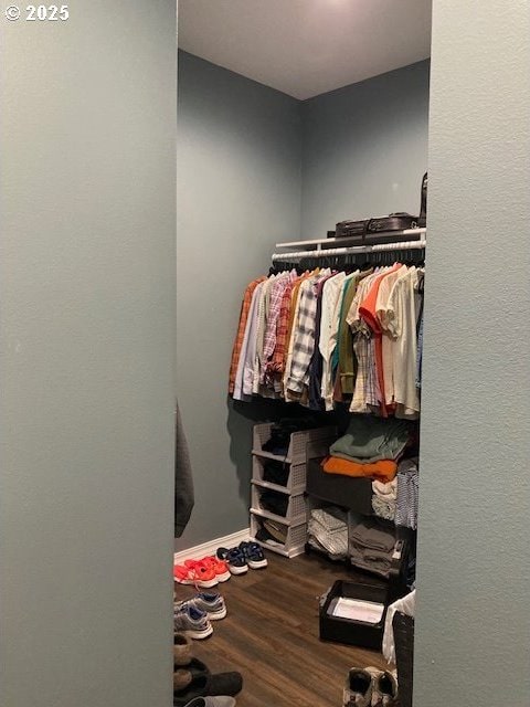 walk in closet with wood-type flooring