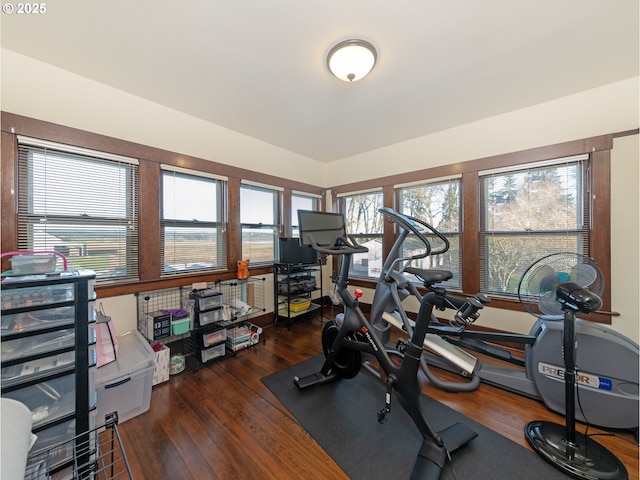 exercise area featuring dark hardwood / wood-style flooring